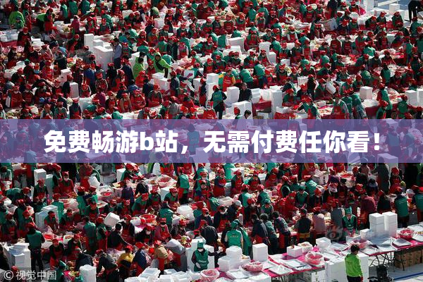 免费畅游b站，无需付费任你看！
