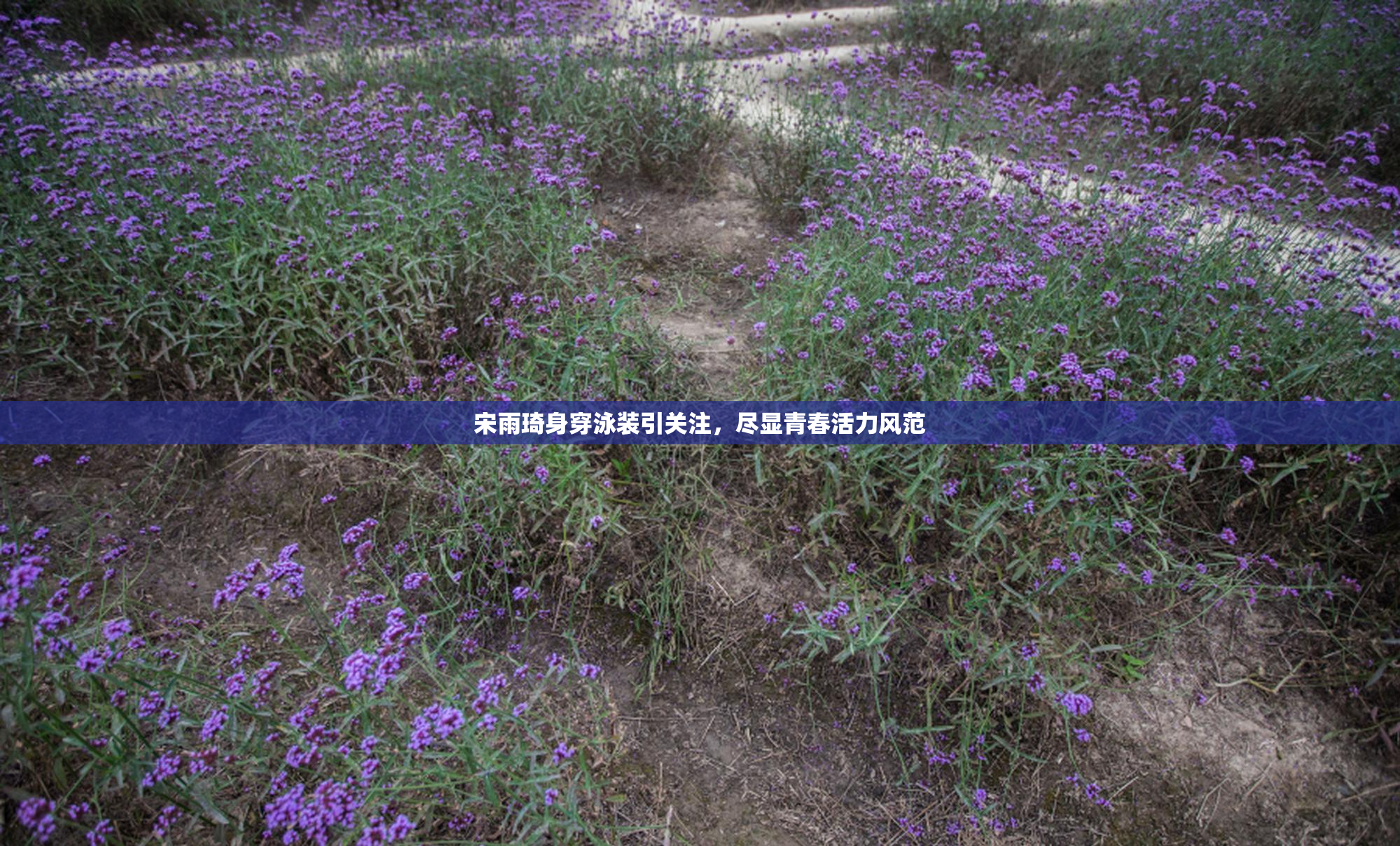 宋雨琦身穿泳装引关注，尽显青春活力风范