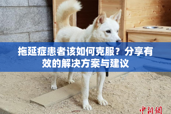 拖延症患者该如何克服？分享有效的解决方案与建议