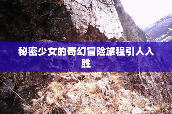 秘密少女的奇幻冒险旅程引人入胜