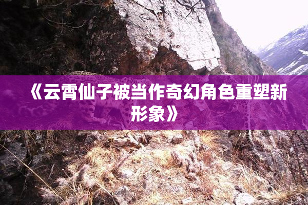 《云霄仙子被当作奇幻角色重塑新形象》