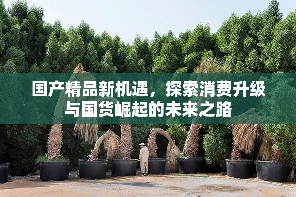 国产精品新机遇，探索消费升级与国货崛起的未来之路
