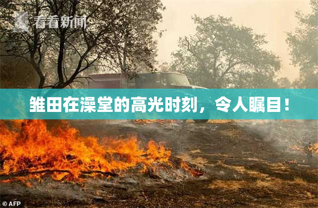 雏田在澡堂的高光时刻，令人瞩目！