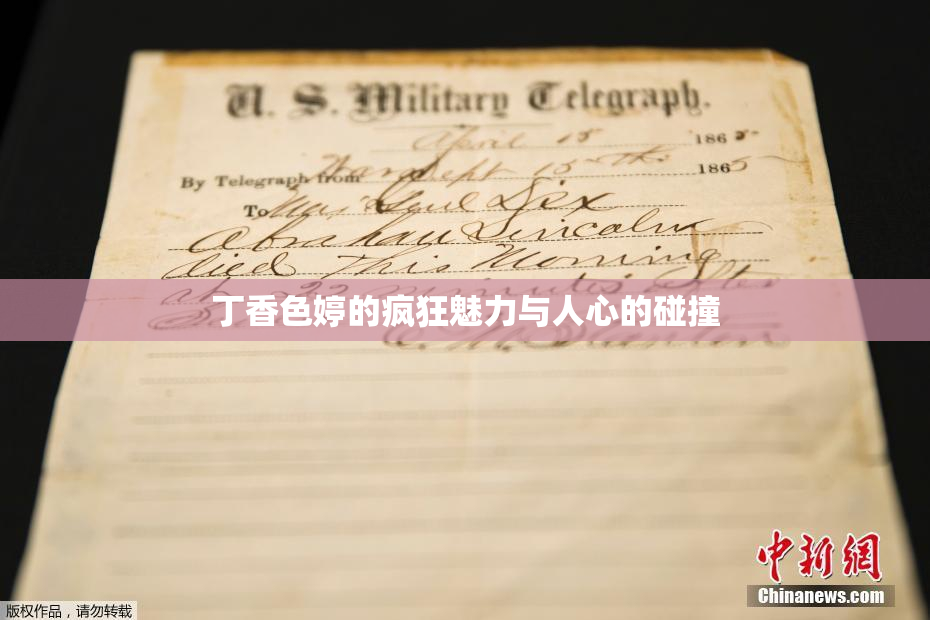 丁香色婷的疯狂魅力与人心的碰撞