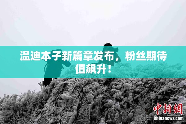 温迪本子新篇章发布，粉丝期待值飙升！