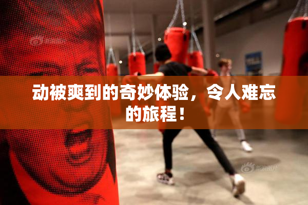 动被爽到的奇妙体验，令人难忘的旅程！
