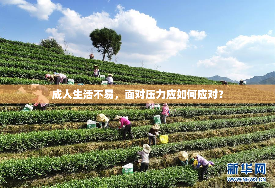 成人生活不易，面对压力应如何应对？