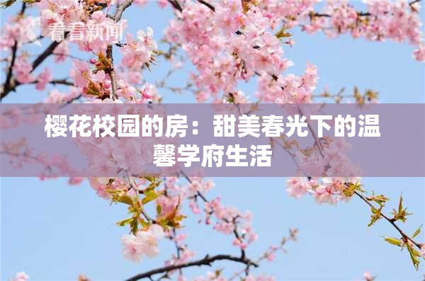 樱花校园的房：甜美春光下的温馨学府生活