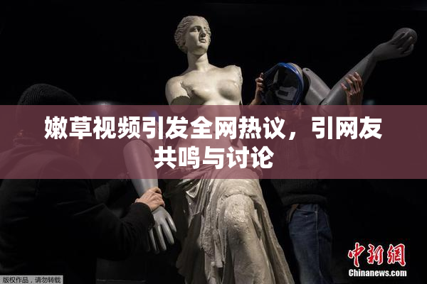 嫩草视频引发全网热议，引网友共鸣与讨论