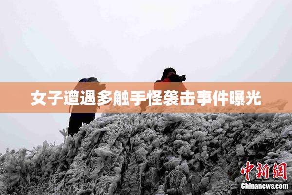 女子遭遇多触手怪袭击事件曝光