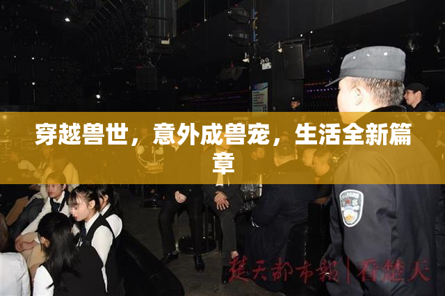 穿越兽世，意外成兽宠，生活全新篇章
