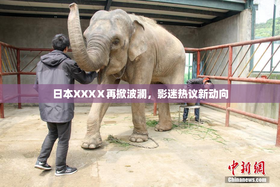 日本XXXⅩ再掀波澜，影迷热议新动向