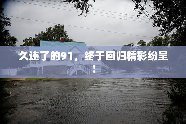 久违了的91，终于回归精彩纷呈！