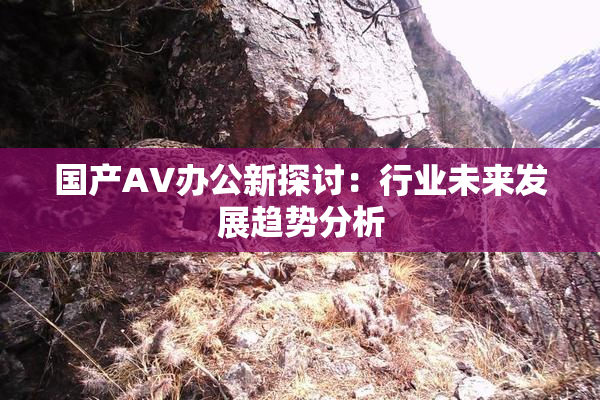 国产AV办公新探讨：行业未来发展趋势分析