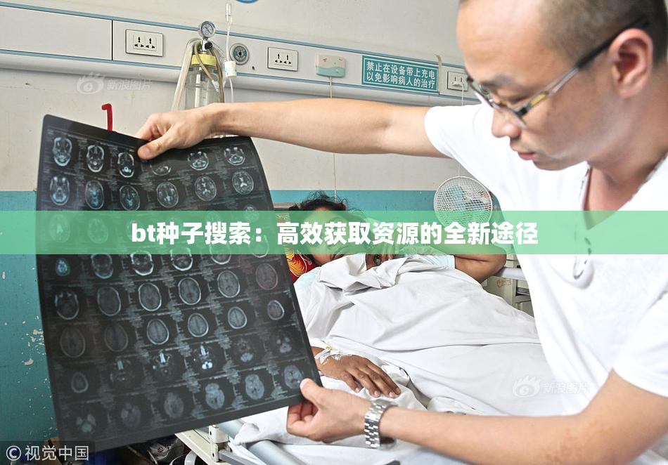 bt种子搜索：高效获取资源的全新途径