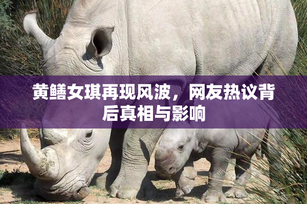 黄鳝女琪再现风波，网友热议背后真相与影响