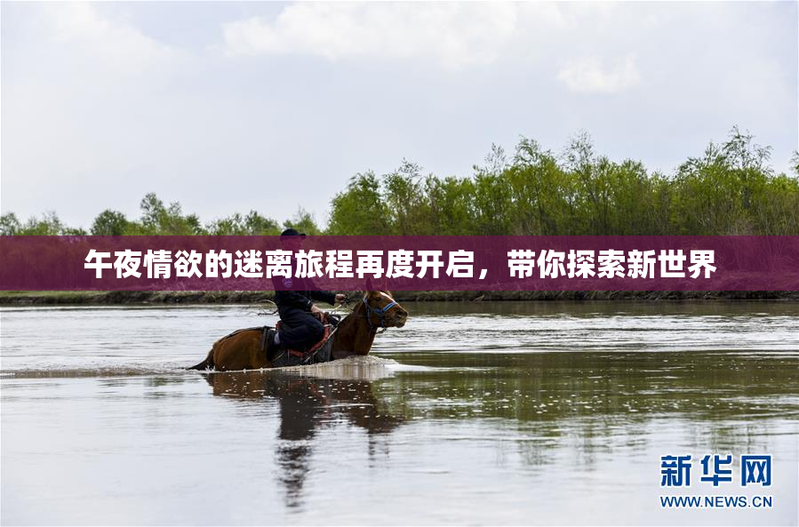 午夜情欲的迷离旅程再度开启，带你探索新世界