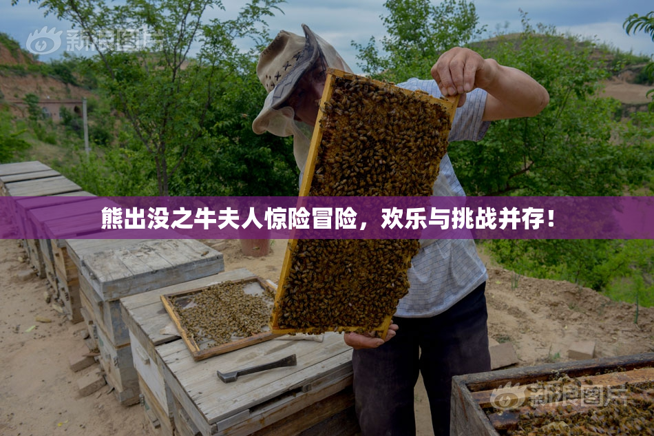 熊出没之牛夫人惊险冒险，欢乐与挑战并存！