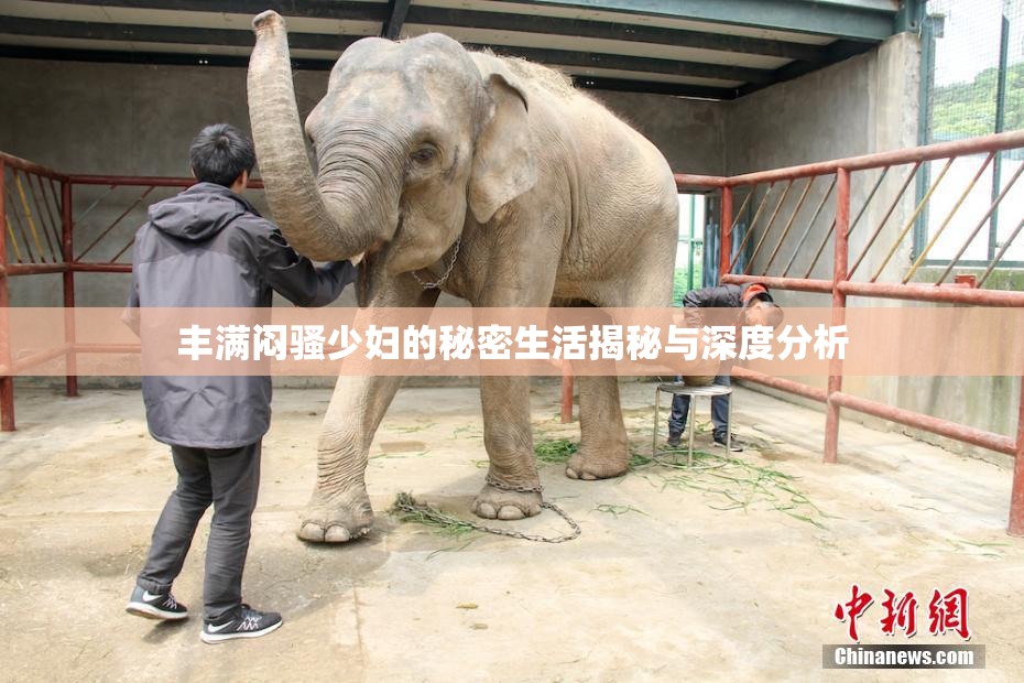 丰满闷骚少妇的秘密生活揭秘与深度分析