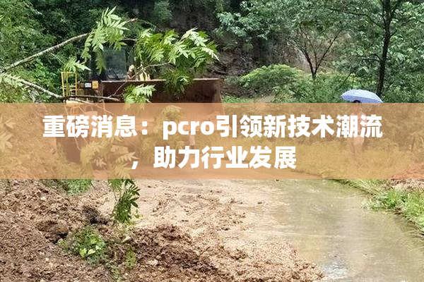 重磅消息：pcro引领新技术潮流，助力行业发展