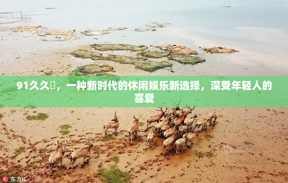 91久久擼，一种新时代的休闲娱乐新选择，深受年轻人的喜爱