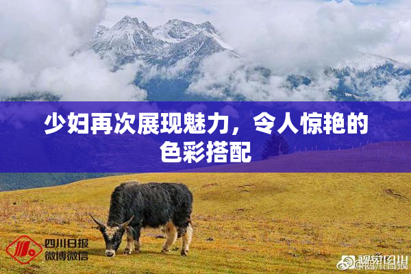 少妇再次展现魅力，令人惊艳的色彩搭配