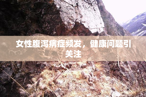 女性腹泻病症频发，健康问题引关注