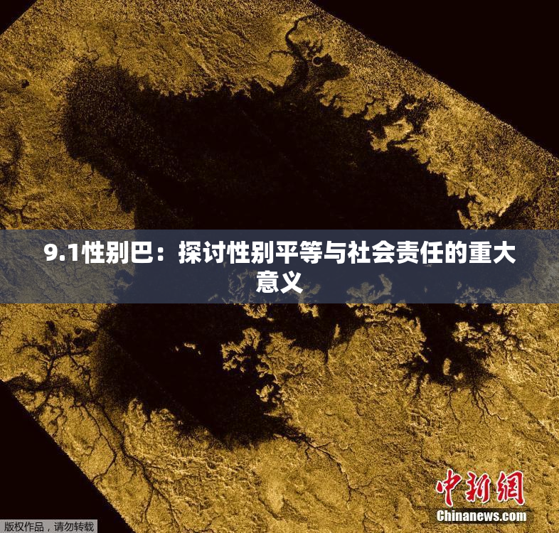 9.1性别巴：探讨性别平等与社会责任的重大意义