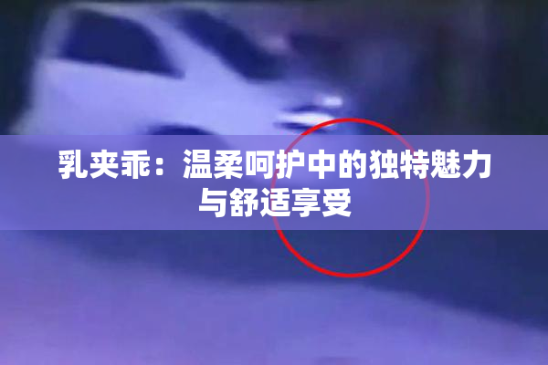 乳夹乖：温柔呵护中的独特魅力与舒适享受