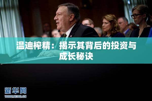 温迪榨精：揭示其背后的投资与成长秘诀
