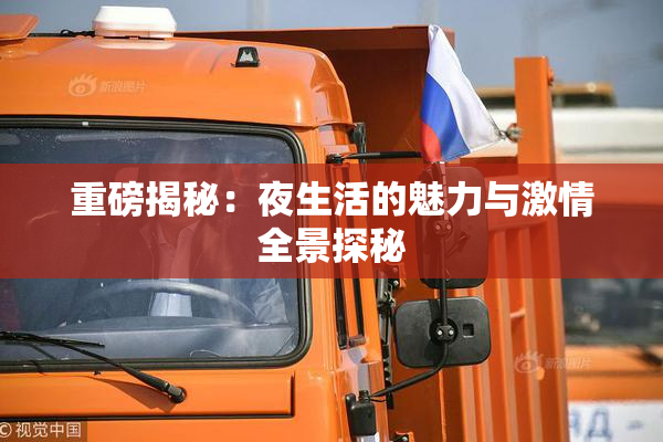 重磅揭秘：夜生活的魅力与激情全景探秘