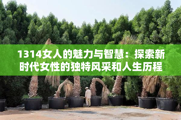 1314女人的魅力与智慧：探索新时代女性的独特风采和人生历程
