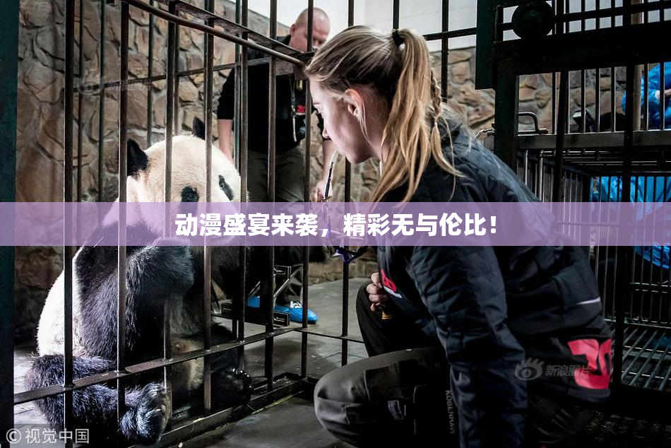 动漫盛宴来袭，精彩无与伦比！