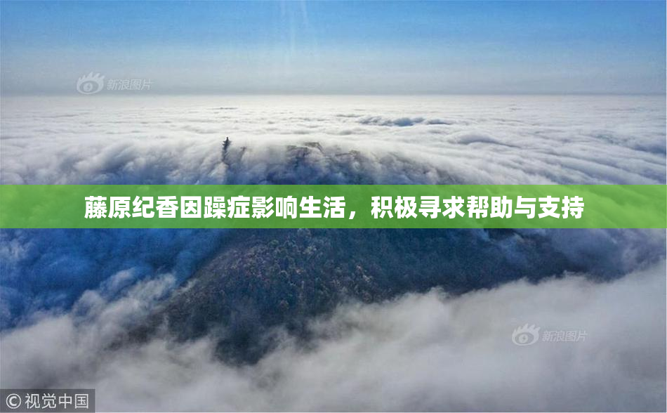 藤原纪香因躁症影响生活，积极寻求帮助与支持