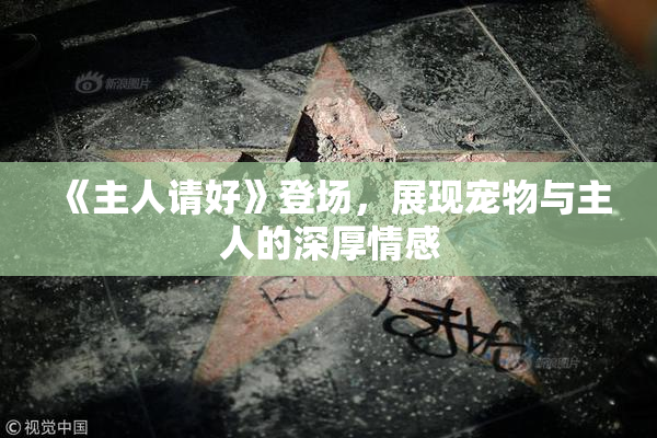 《主人请好》登场，展现宠物与主人的深厚情感