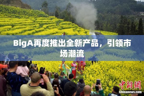 BigA再度推出全新产品，引领市场潮流