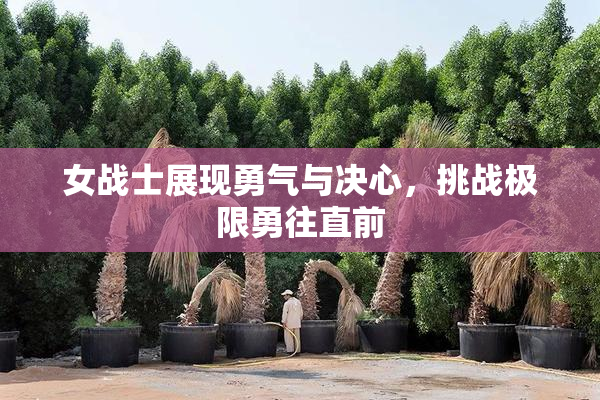 女战士展现勇气与决心，挑战极限勇往直前