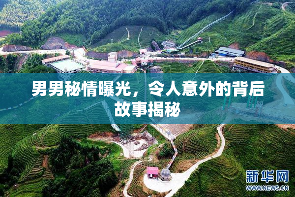男男秘情曝光，令人意外的背后故事揭秘