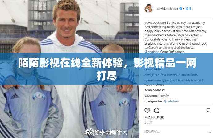 陌陌影视在线全新体验，影视精品一网打尽