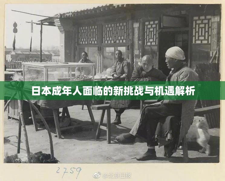 日本成年人面临的新挑战与机遇解析