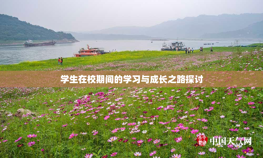 学生在校期间的学习与成长之路探讨