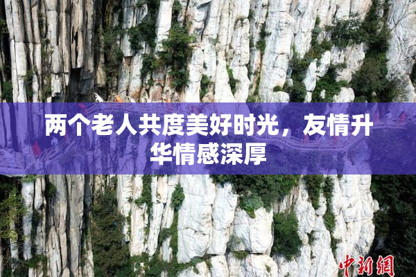 两个老人共度美好时光，友情升华情感深厚