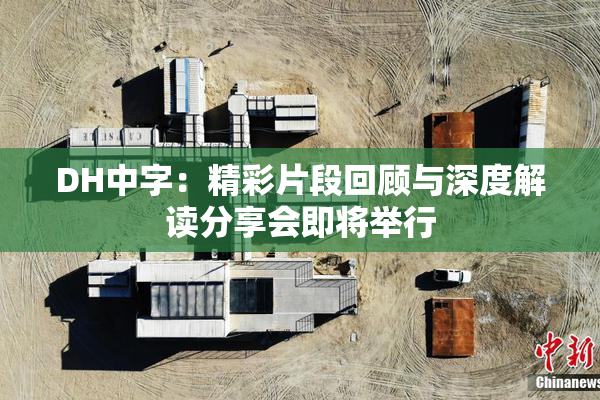 DH中字：精彩片段回顾与深度解读分享会即将举行