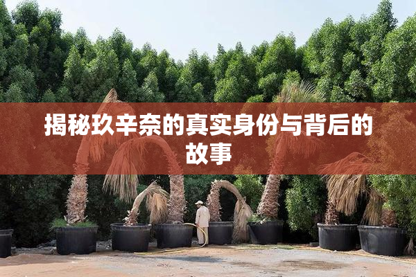 揭秘玖辛奈的真实身份与背后的故事