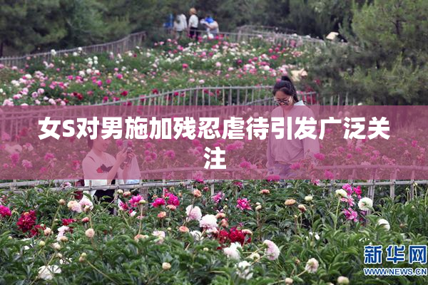 女S对男施加残忍虐待引发广泛关注