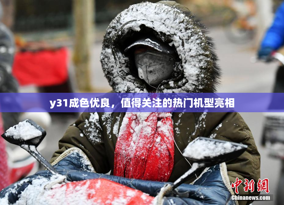 y31成色优良，值得关注的热门机型亮相