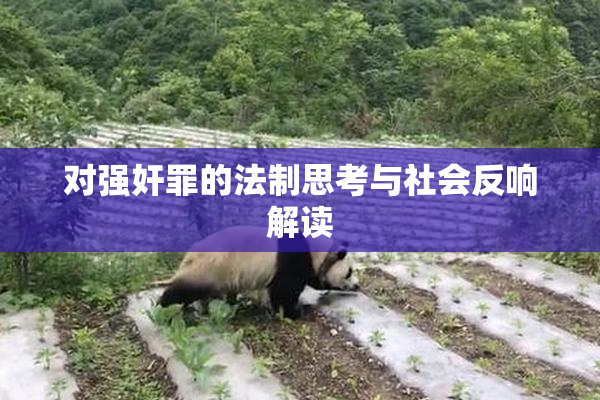 对强奸罪的法制思考与社会反响解读