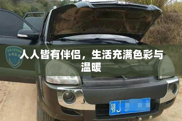 人人皆有伴侣，生活充满色彩与温暖