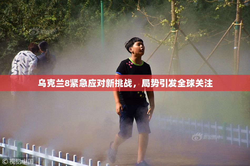 乌克兰8紧急应对新挑战，局势引发全球关注