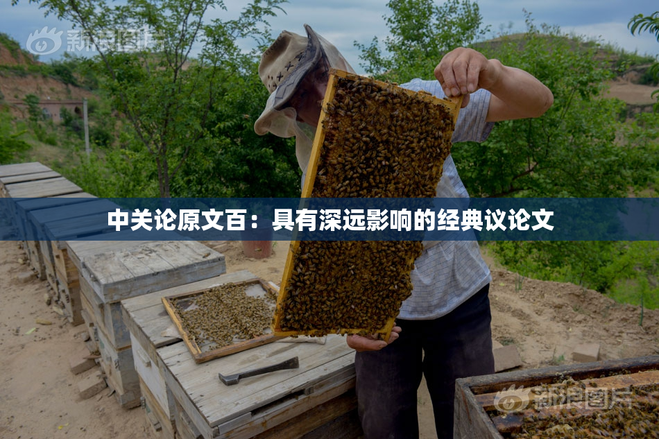 中关论原文百：具有深远影响的经典议论文